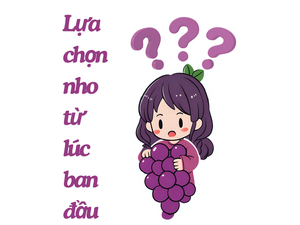 lựa chọn nho