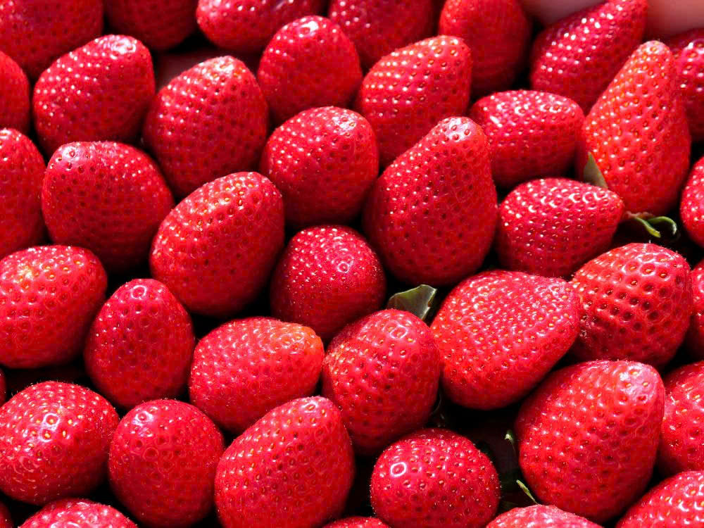 Bước 1